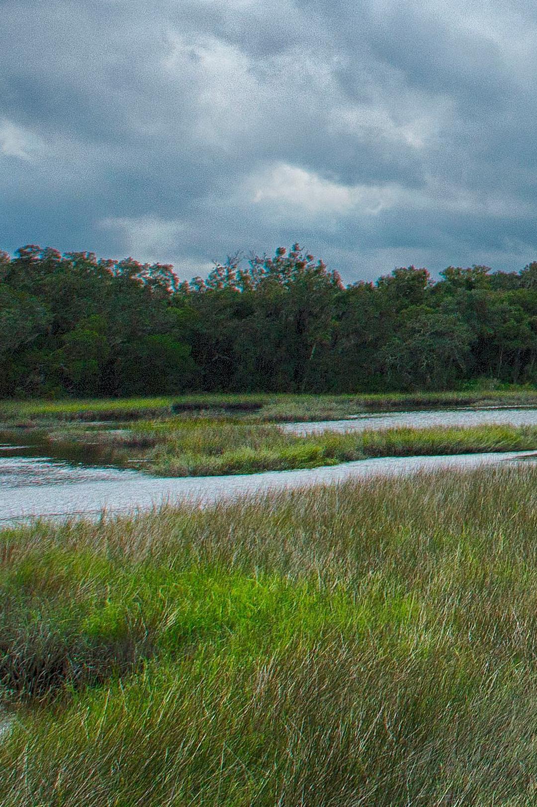 Timucuan Ecological & Historic Preserve